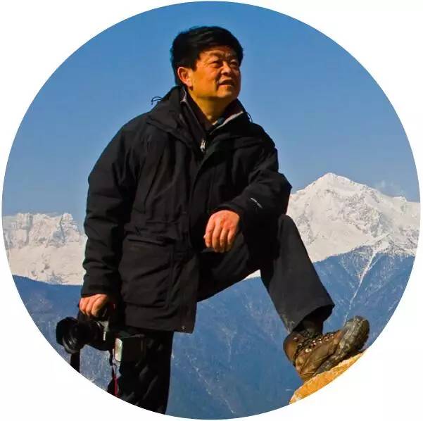陈建伟